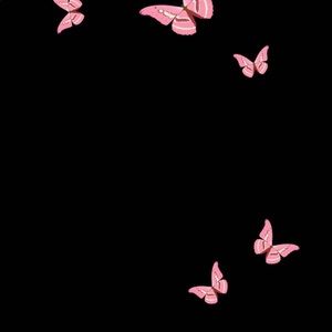 Meet your Posher, Ava